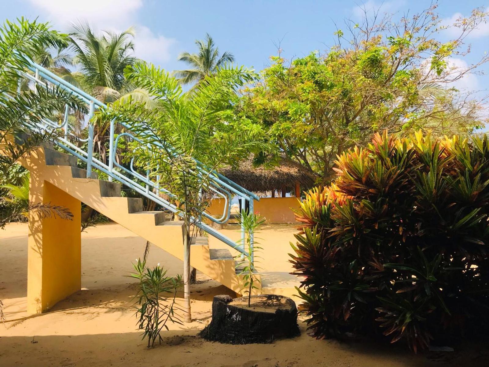 Dolphin Village Alankuda المظهر الخارجي الصورة