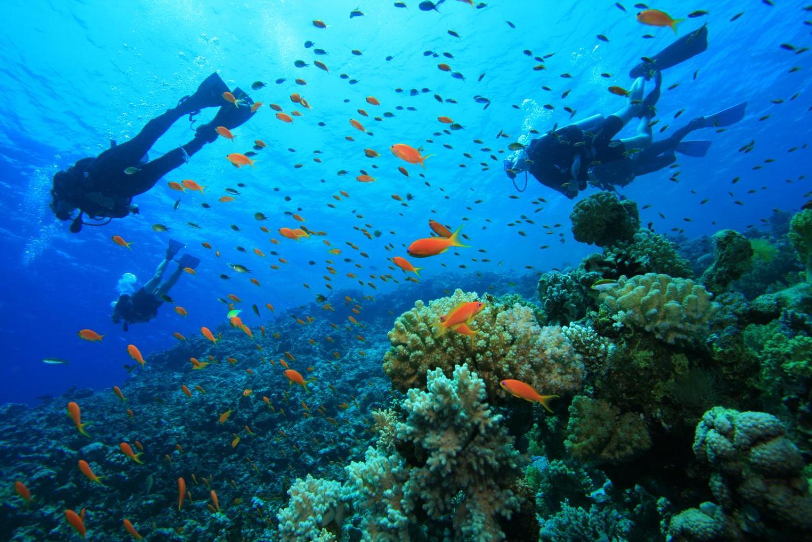 Dolphin Village Alankuda المظهر الخارجي الصورة