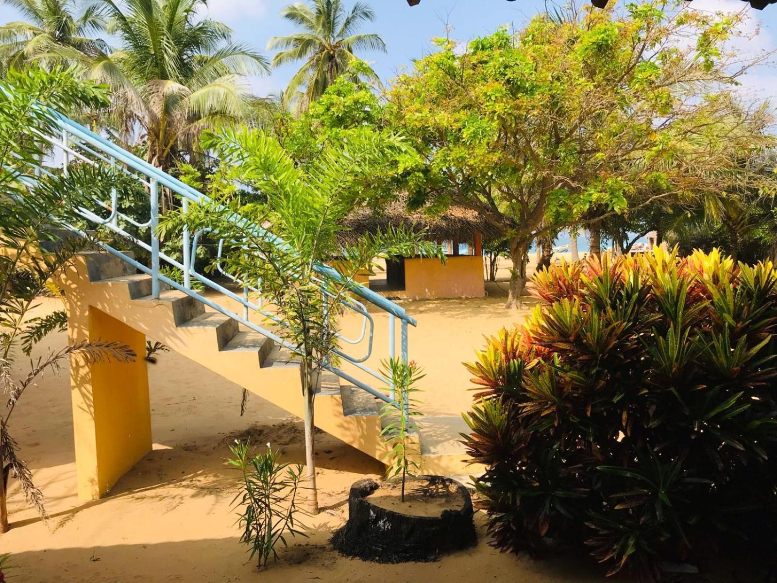 Dolphin Village Alankuda المظهر الخارجي الصورة