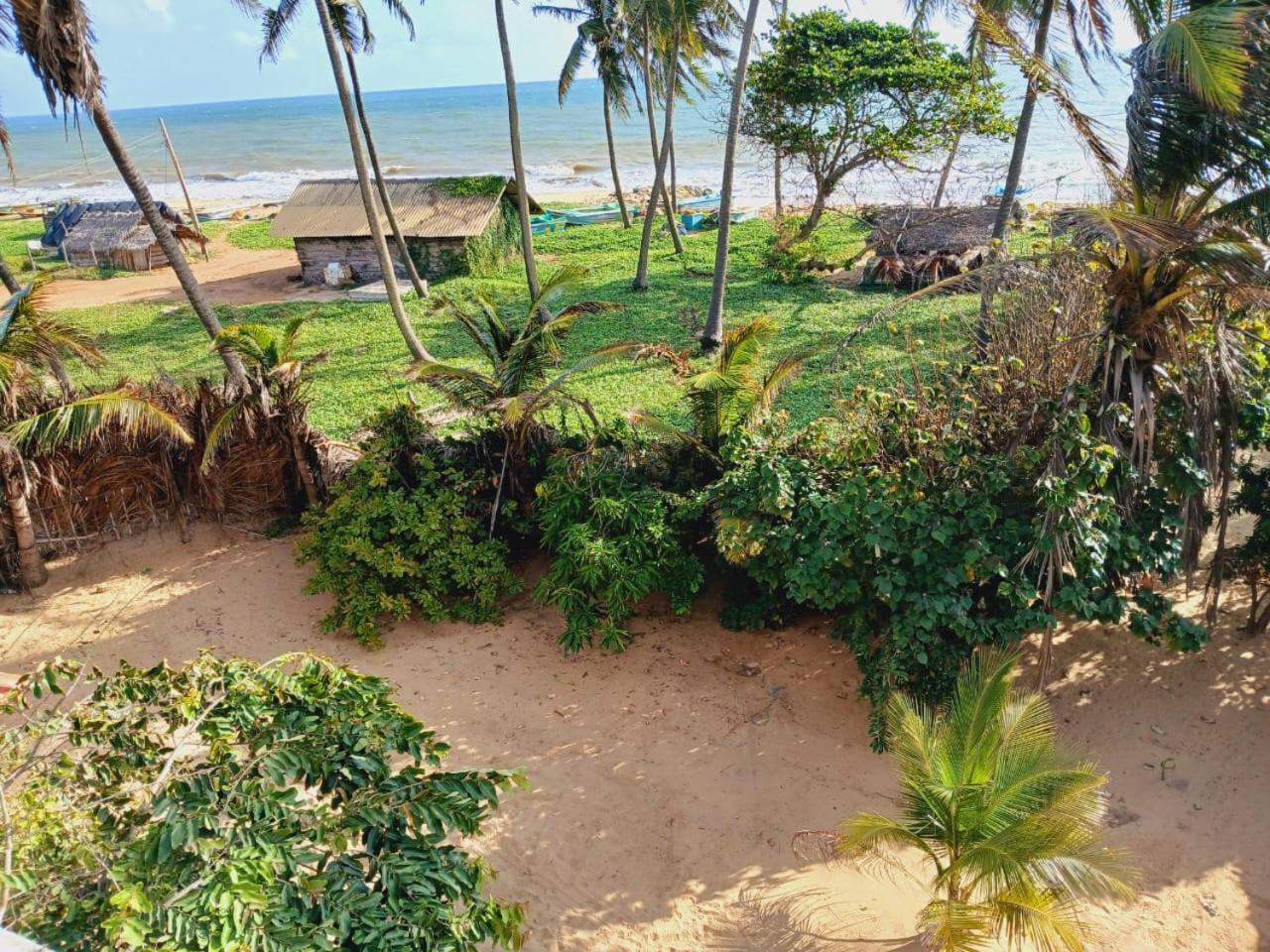 Dolphin Village Alankuda المظهر الخارجي الصورة