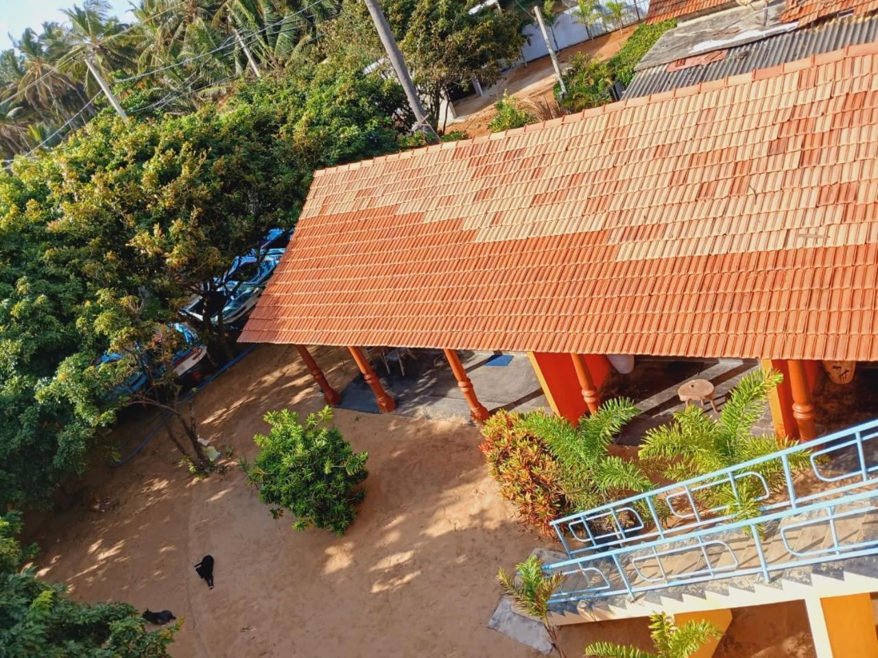 Dolphin Village Alankuda المظهر الخارجي الصورة