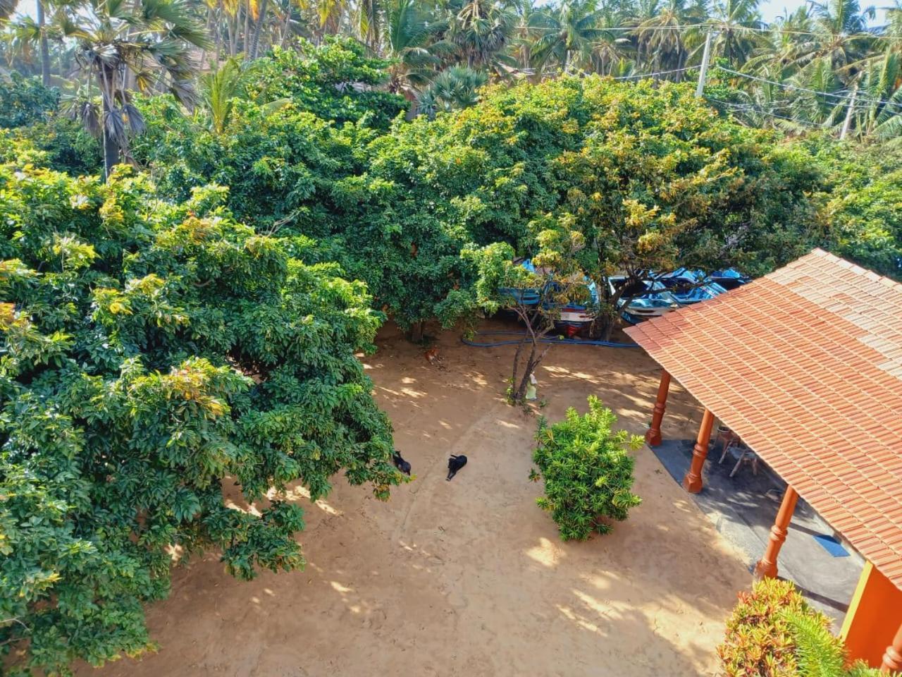 Dolphin Village Alankuda المظهر الخارجي الصورة