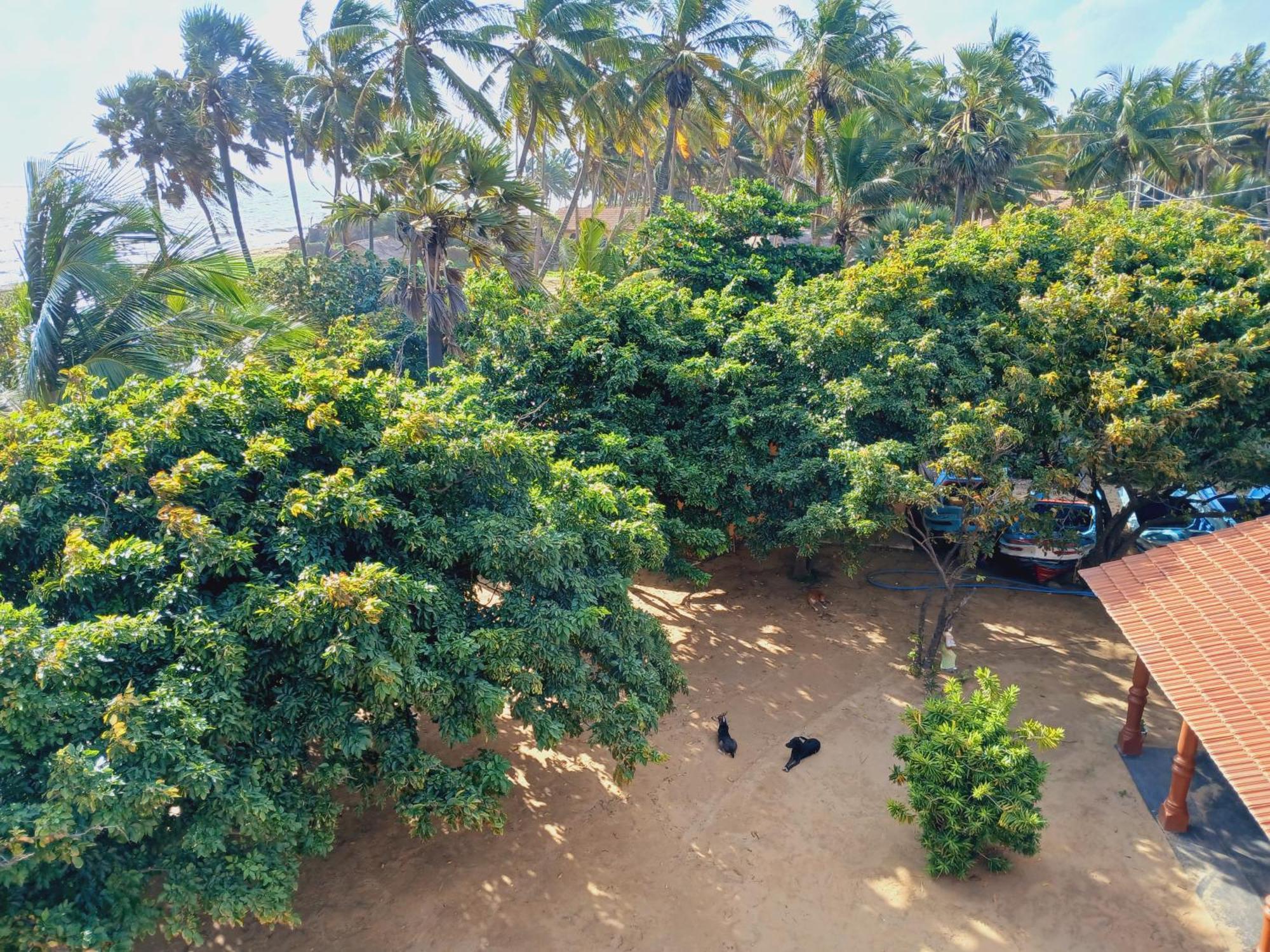 Dolphin Village Alankuda المظهر الخارجي الصورة