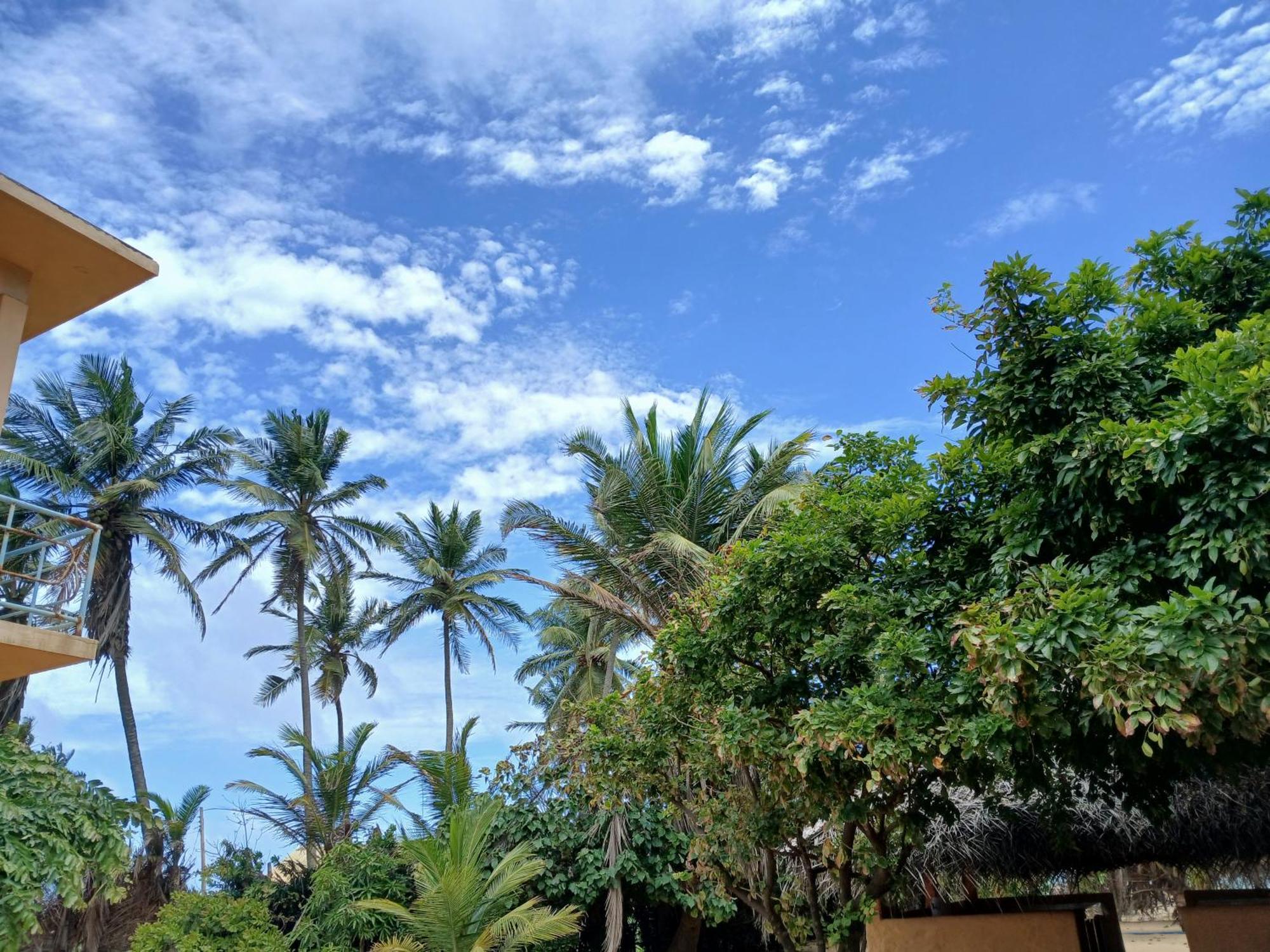 Dolphin Village Alankuda المظهر الخارجي الصورة