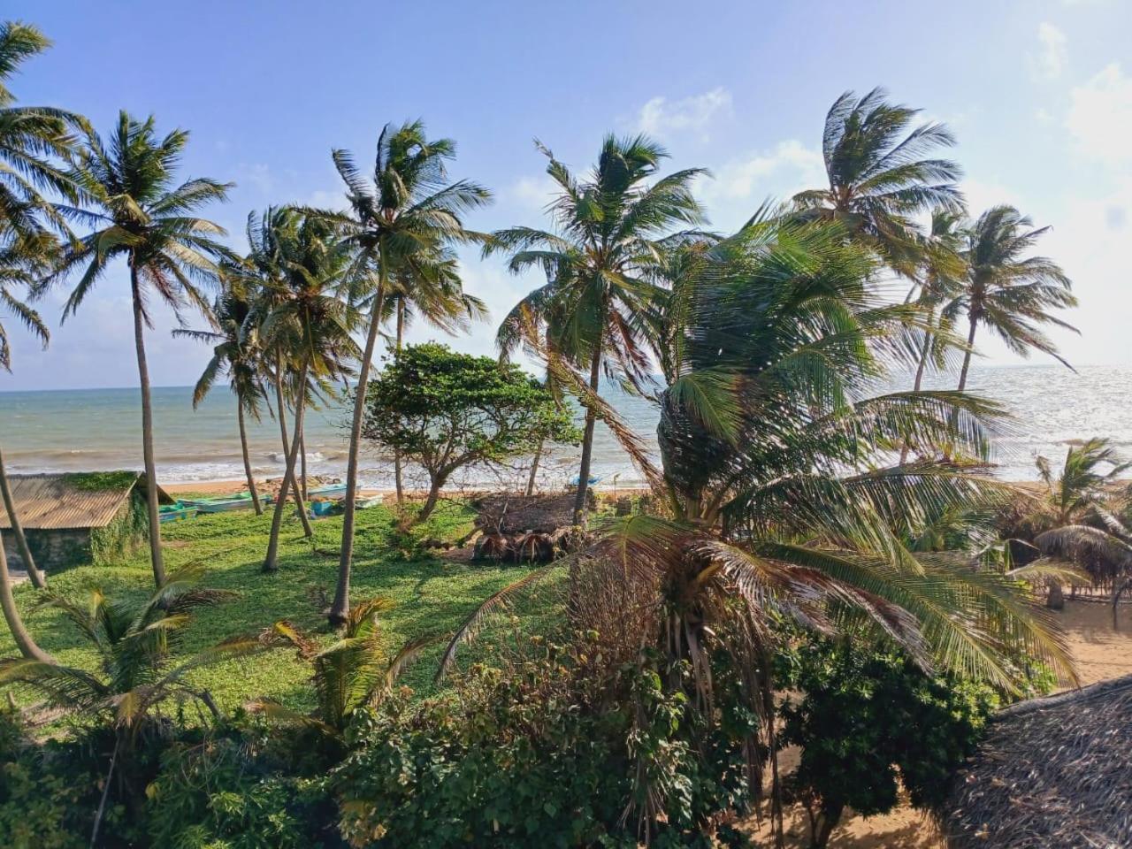 Dolphin Village Alankuda المظهر الخارجي الصورة
