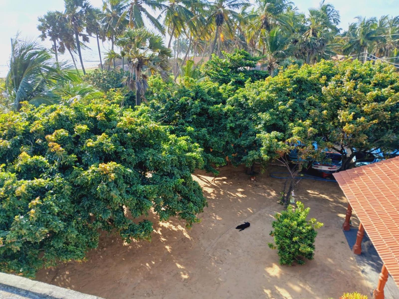 Dolphin Village Alankuda المظهر الخارجي الصورة