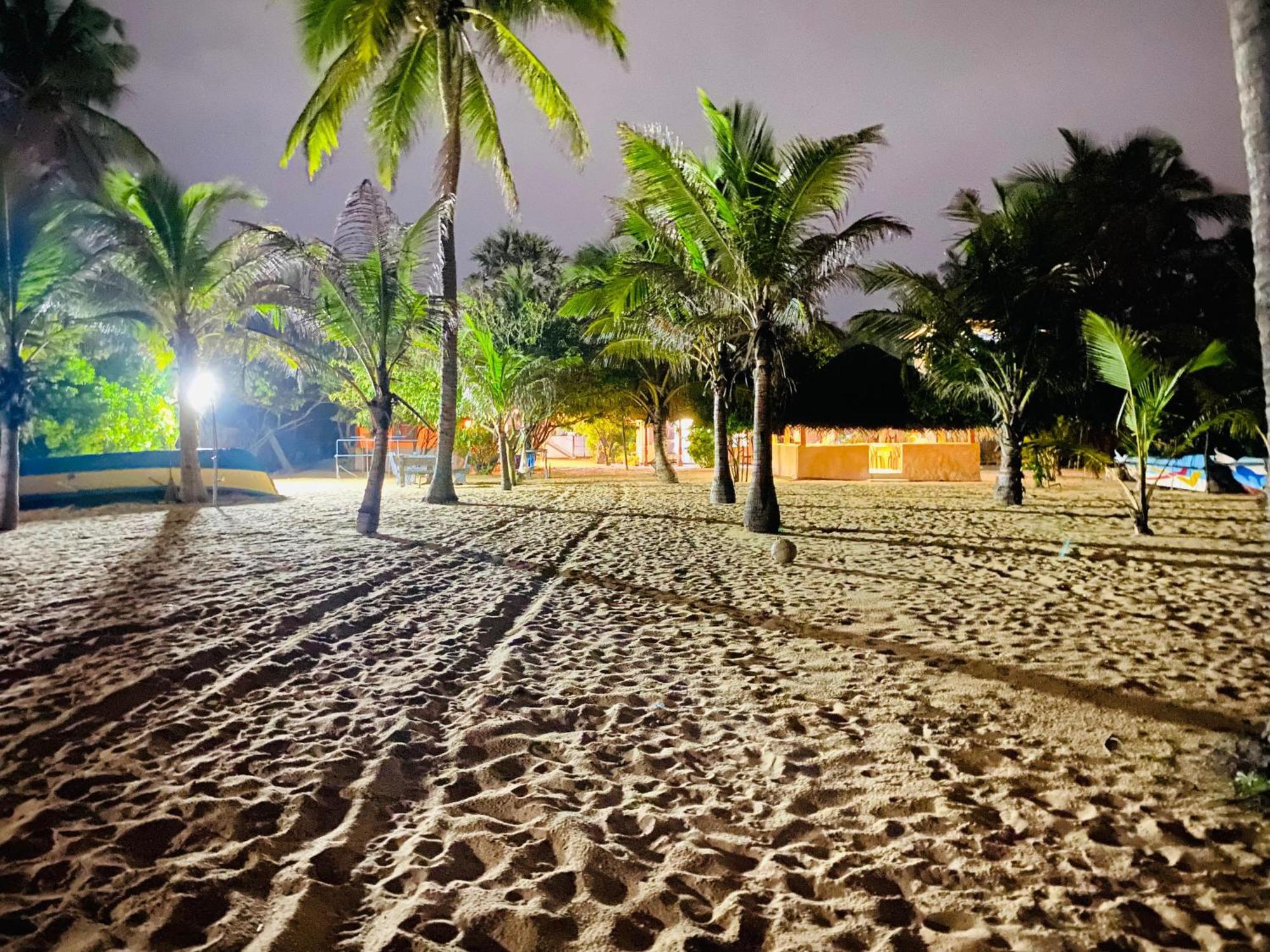 Dolphin Village Alankuda المظهر الخارجي الصورة