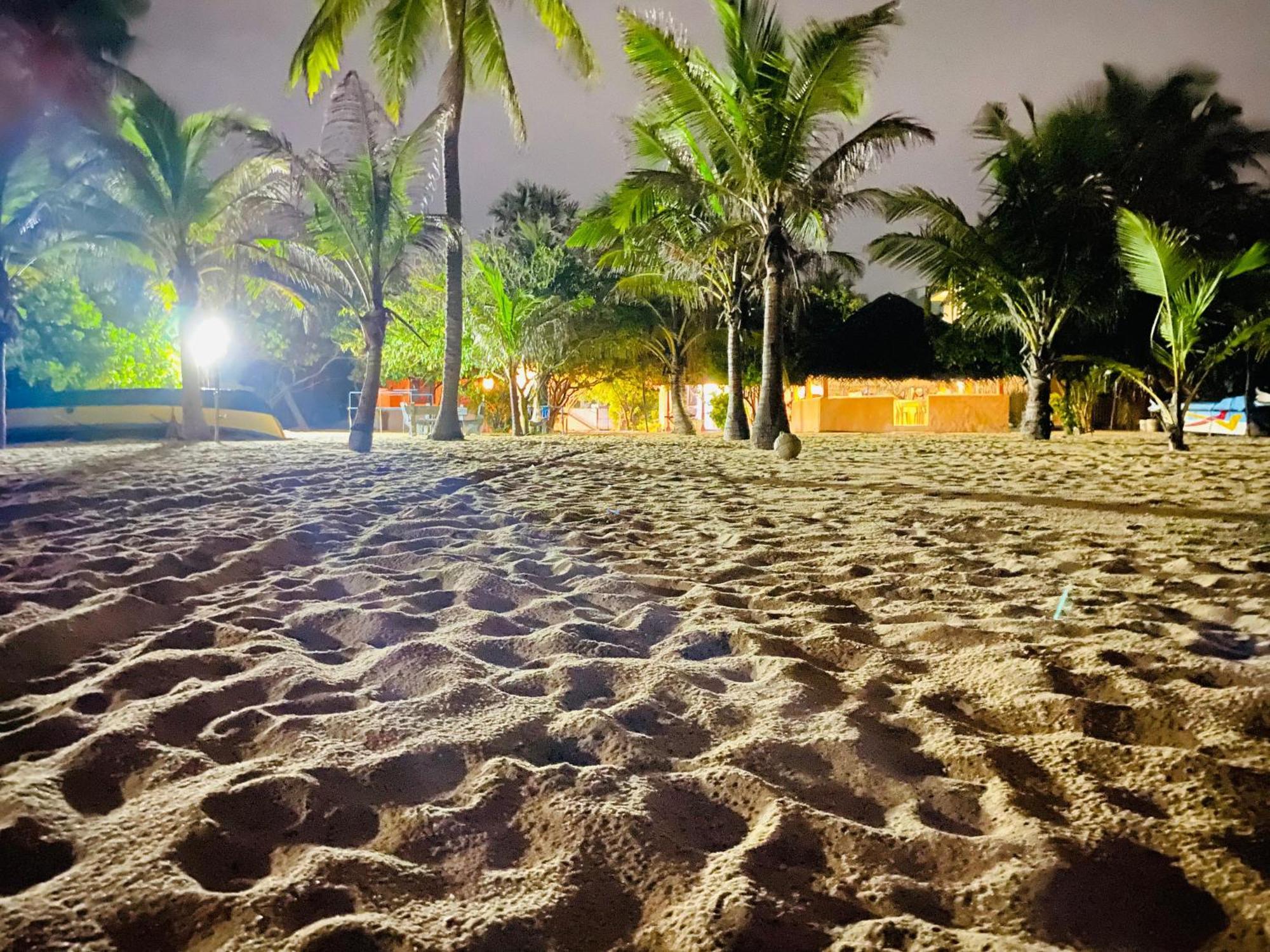 Dolphin Village Alankuda المظهر الخارجي الصورة