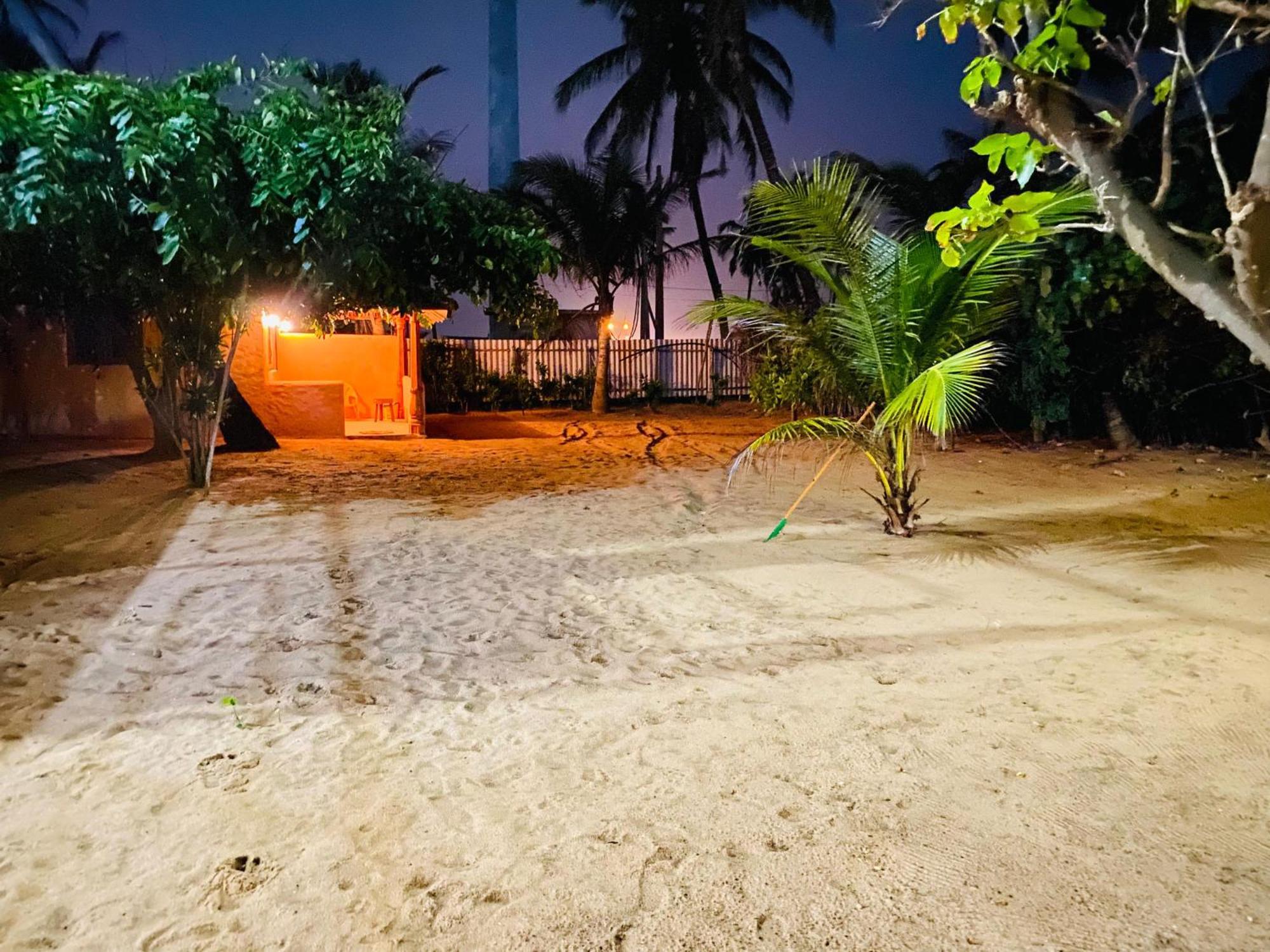 Dolphin Village Alankuda المظهر الخارجي الصورة