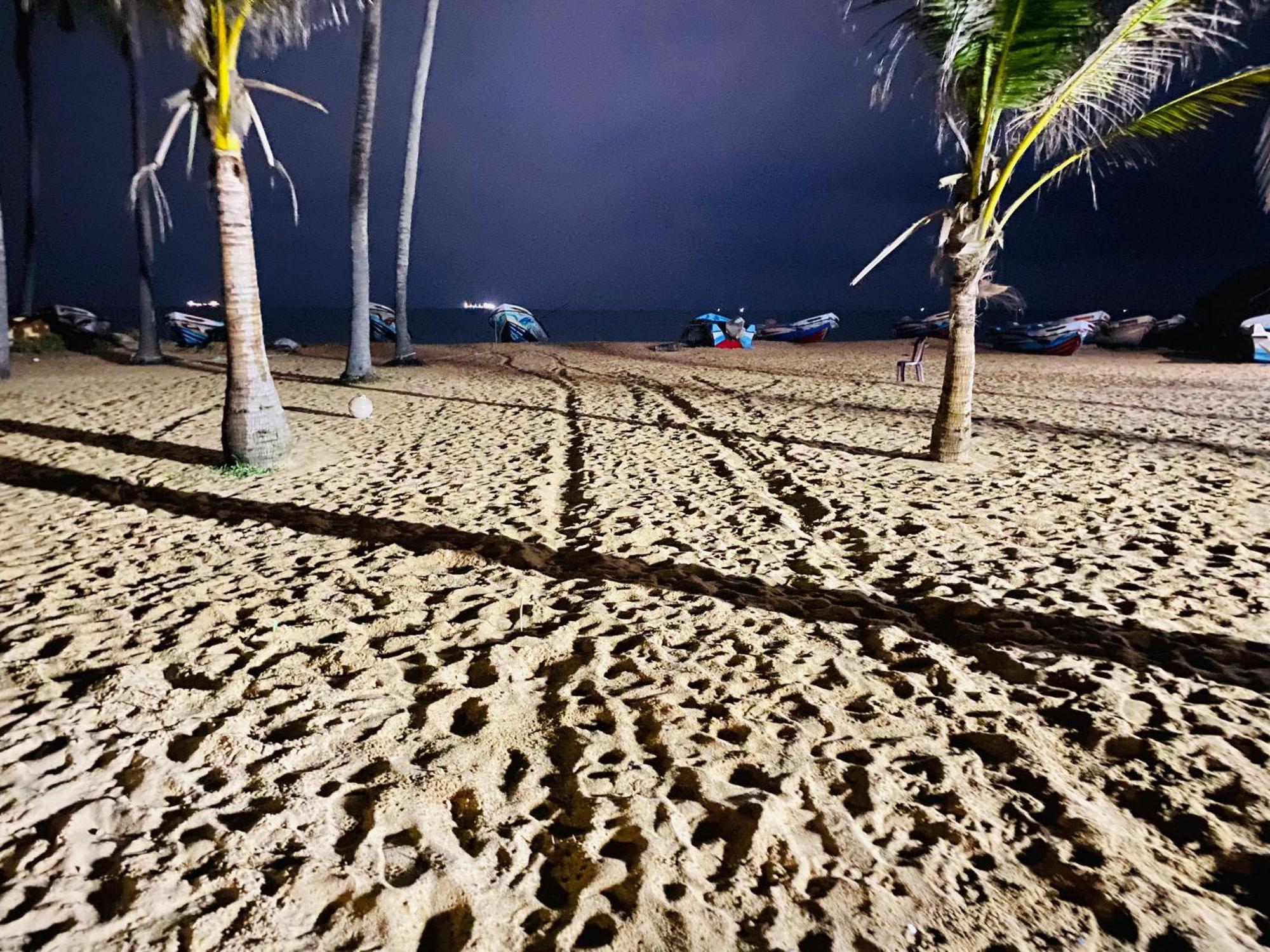Dolphin Village Alankuda المظهر الخارجي الصورة